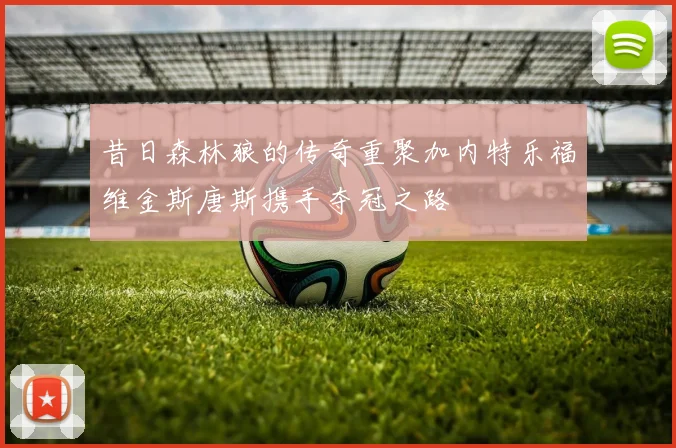 昔日森林狼的传奇重聚加内特乐福维金斯唐斯携手夺冠之路