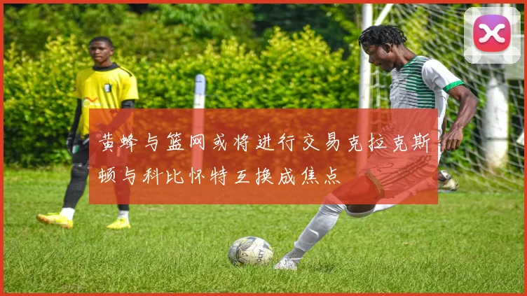 黄蜂与篮网或将进行交易克拉克斯顿与科比怀特互换成焦点